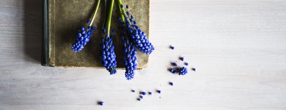 «CRITICO, ERGO SUM»:POESÍA Y DISCURSO CRÍTICO—“CRITICO, ERGO SUM”: POETRY AND CRITICAL DISCOURSE